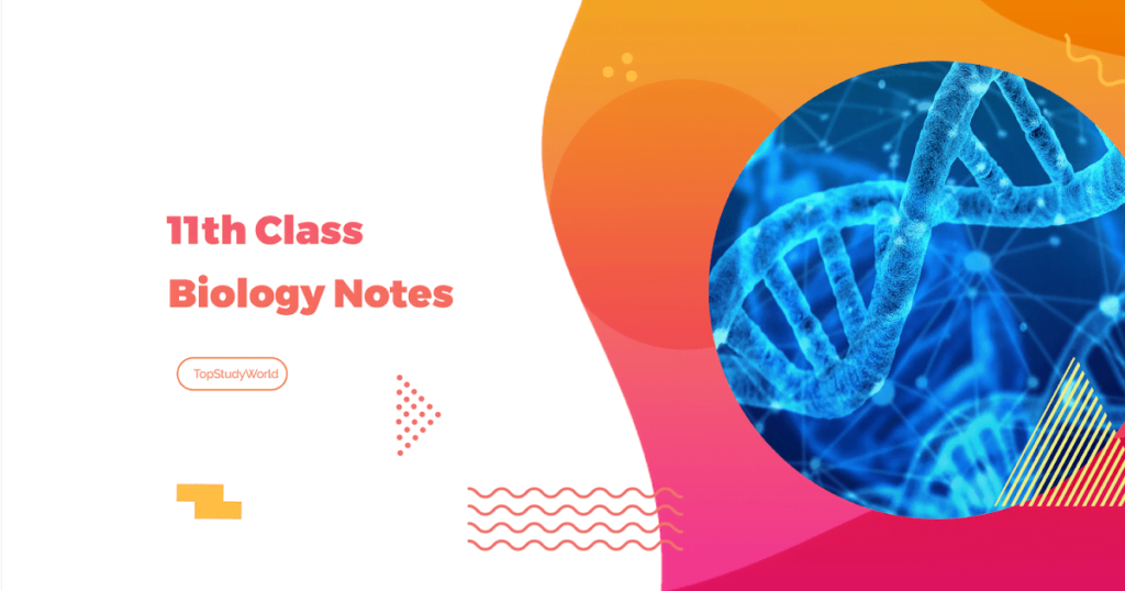 Biology Class 11th Short Notes download for free