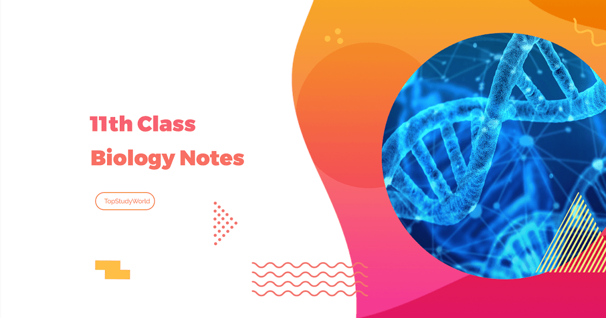[PDF] Biology Class 11th Short Notes download for free – Education ...