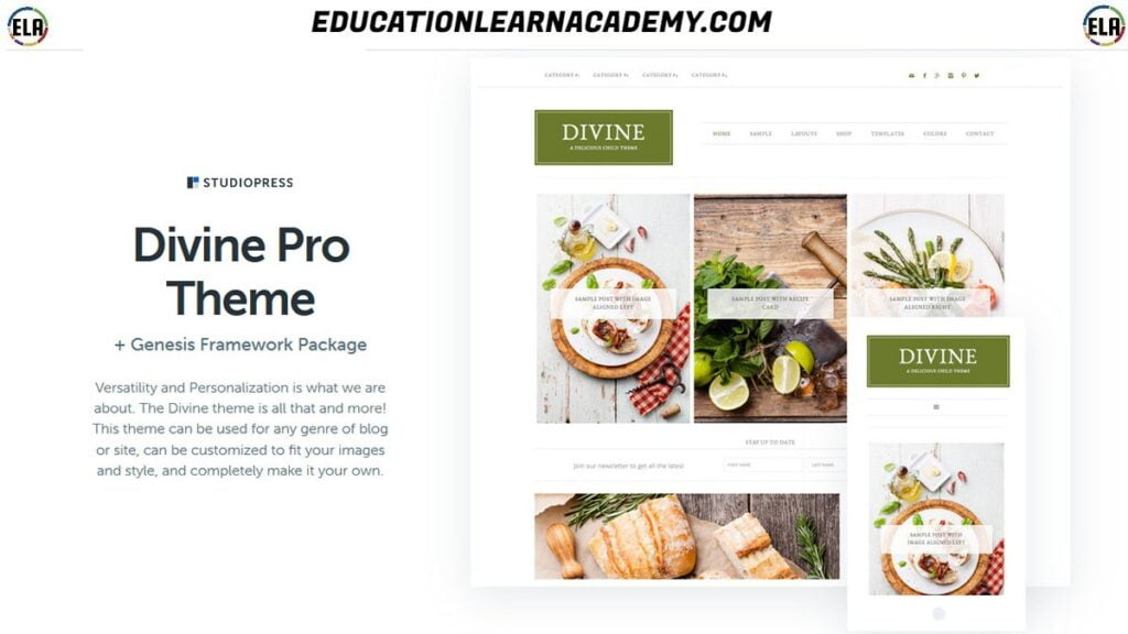 Free Download Divine Pro Theme