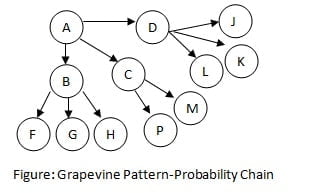 Four major patterns of grapevine:-