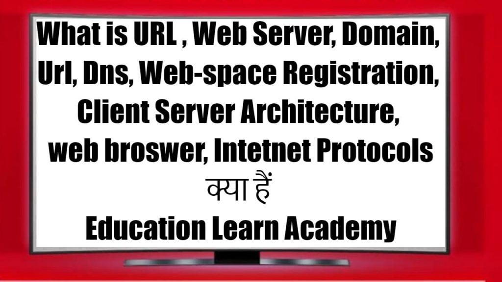 What is URL , Web Server, Domain, Url, Dns, Web-space Registration, Client Server Architecture, web broswer, Intetnet Protocols क्या हैं