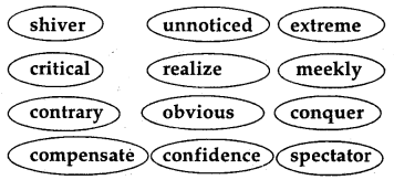 MP Board Class 8th Special English Solutions Chapter 7 Nothing You Can’t Do 2 image 64